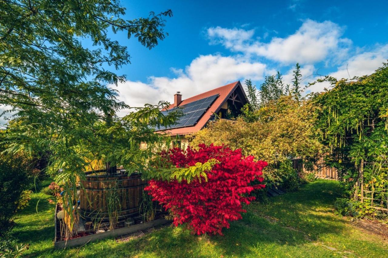 Smyrkowy Dom Z Kominkiem Z Goraca Balia Kolo Karpacza Janowice Wielkie Exterior foto